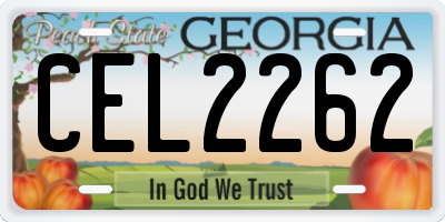 GA license plate CEL2262