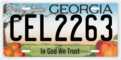 GA license plate CEL2263