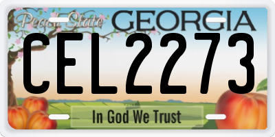 GA license plate CEL2273