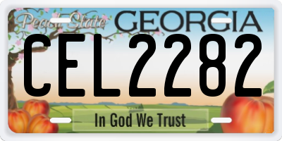 GA license plate CEL2282