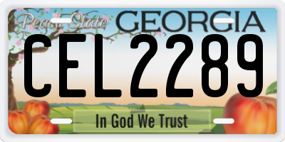 GA license plate CEL2289