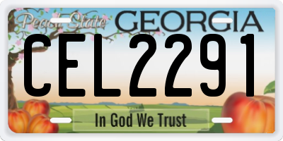 GA license plate CEL2291