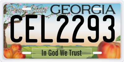 GA license plate CEL2293