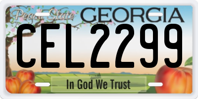 GA license plate CEL2299