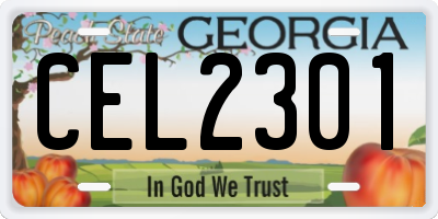 GA license plate CEL2301