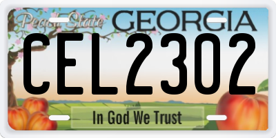 GA license plate CEL2302