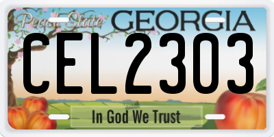 GA license plate CEL2303