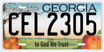 GA license plate CEL2305