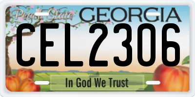 GA license plate CEL2306