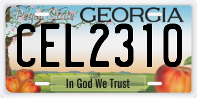 GA license plate CEL2310