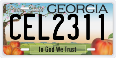 GA license plate CEL2311