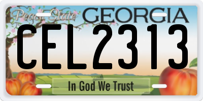 GA license plate CEL2313