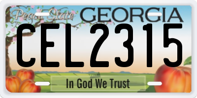 GA license plate CEL2315
