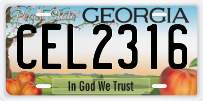 GA license plate CEL2316