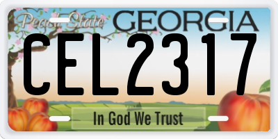 GA license plate CEL2317