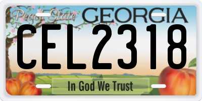 GA license plate CEL2318