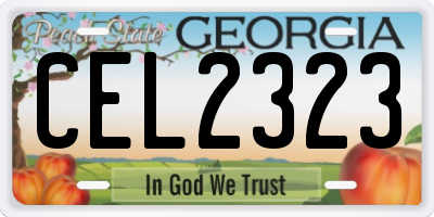 GA license plate CEL2323