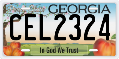 GA license plate CEL2324