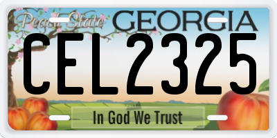 GA license plate CEL2325