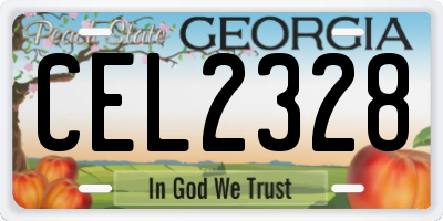 GA license plate CEL2328