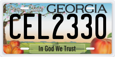 GA license plate CEL2330
