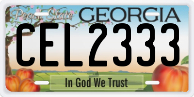 GA license plate CEL2333