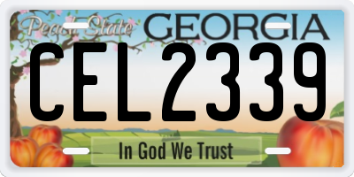 GA license plate CEL2339