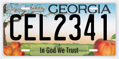 GA license plate CEL2341