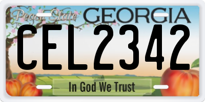 GA license plate CEL2342