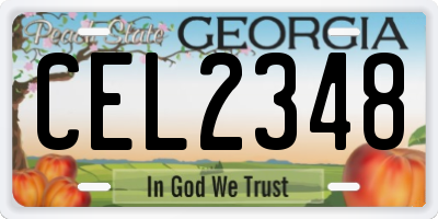 GA license plate CEL2348