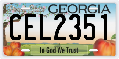 GA license plate CEL2351