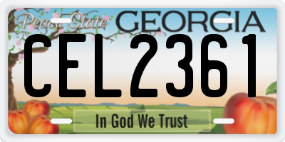 GA license plate CEL2361