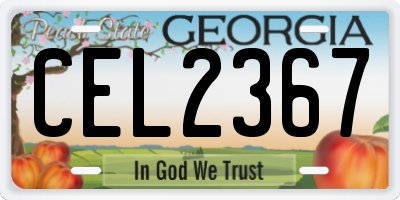 GA license plate CEL2367