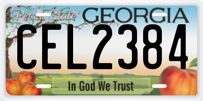 GA license plate CEL2384