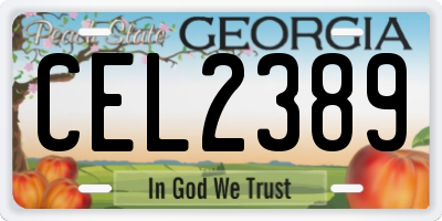 GA license plate CEL2389