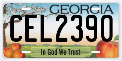 GA license plate CEL2390
