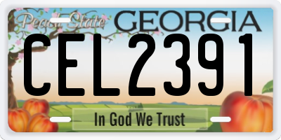 GA license plate CEL2391