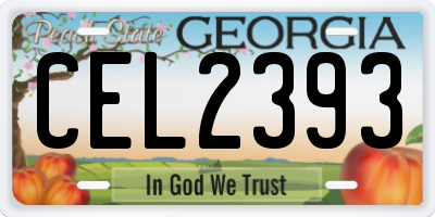 GA license plate CEL2393