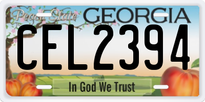 GA license plate CEL2394