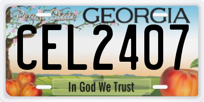 GA license plate CEL2407