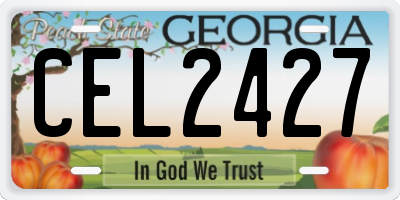 GA license plate CEL2427