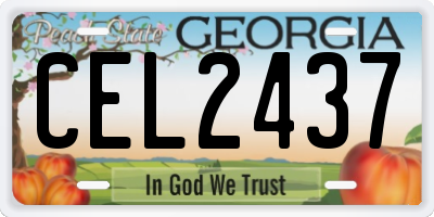 GA license plate CEL2437