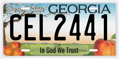 GA license plate CEL2441