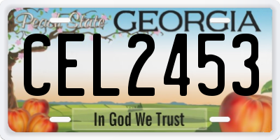 GA license plate CEL2453
