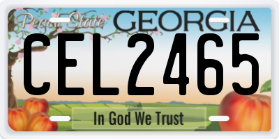 GA license plate CEL2465