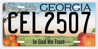 GA license plate CEL2507