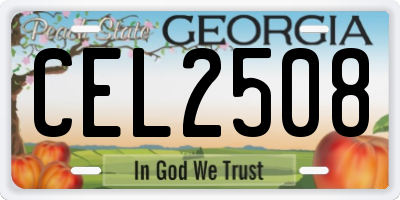 GA license plate CEL2508