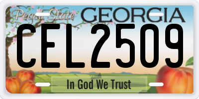 GA license plate CEL2509