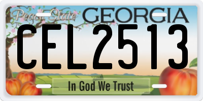 GA license plate CEL2513