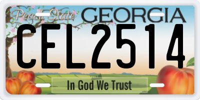 GA license plate CEL2514